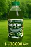 Хларела для ростений