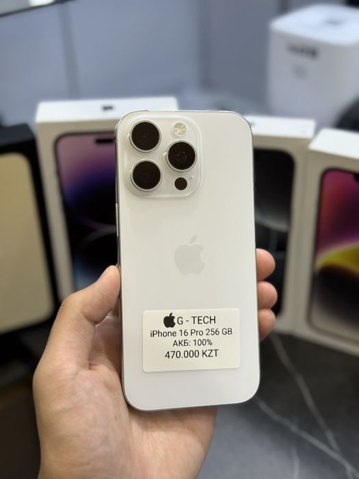 iPhone 16 Pro / 256 / 100%