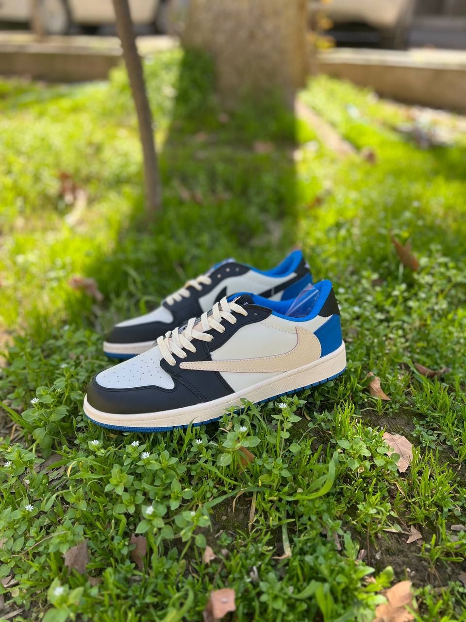 Nike Air Jordan Travers