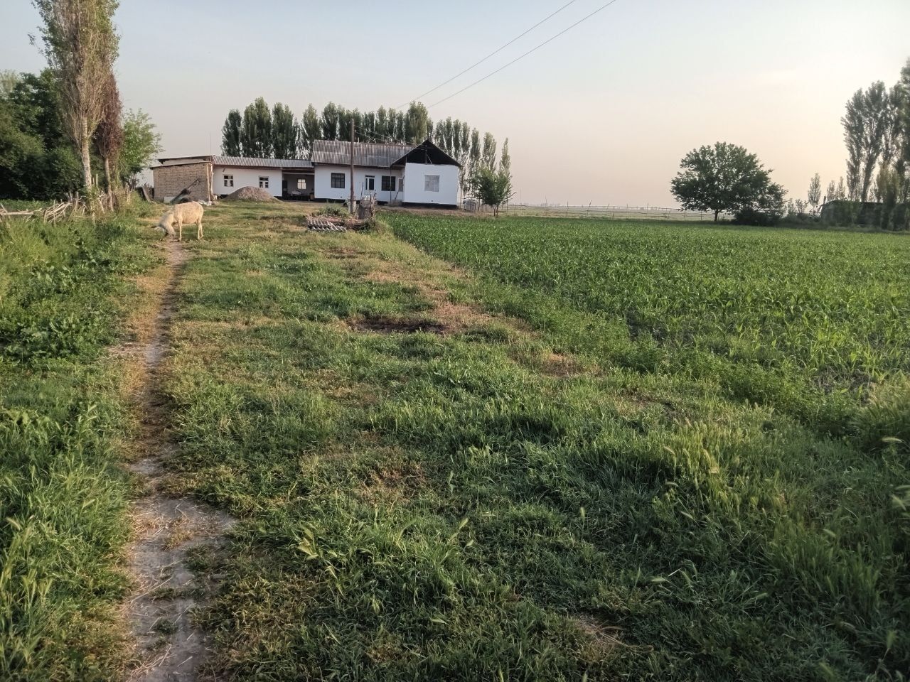 Срочно продаётся дом