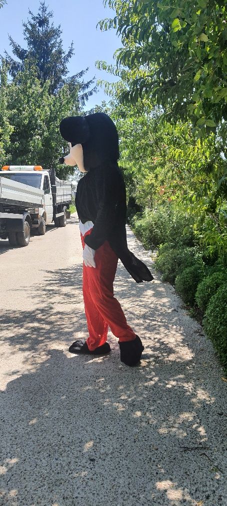 Costume Mickey și Minnie