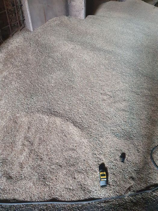 Продам овёс сухой чистый.