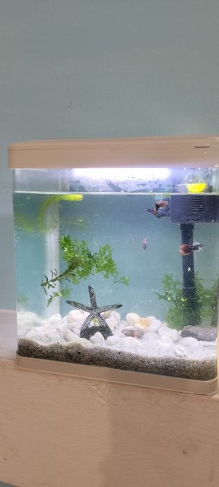 Продам аквариум заводской 10 л