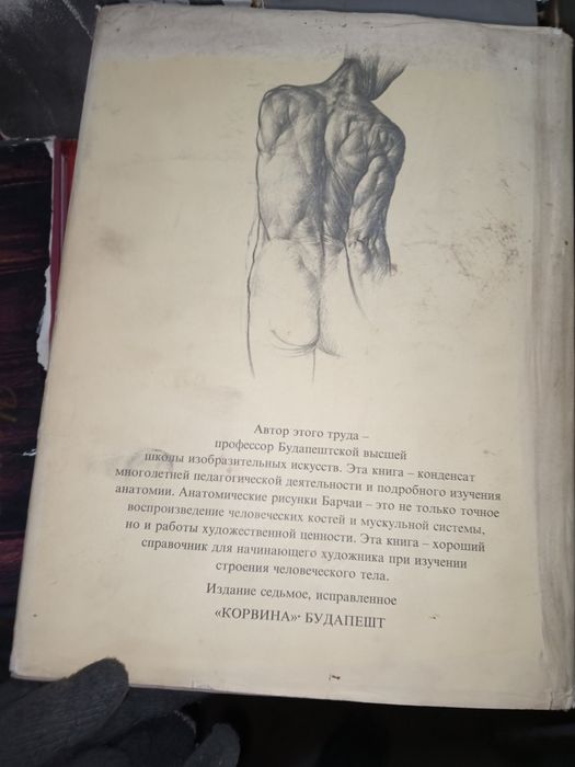 Анатомия для художников