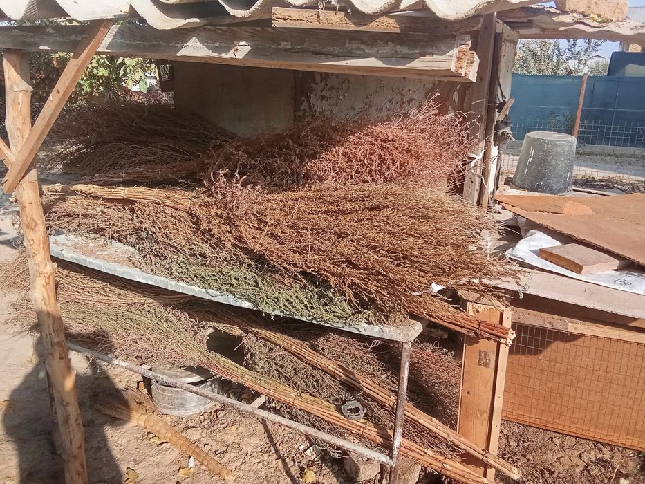 Hovli va ko‘cha supirgisi