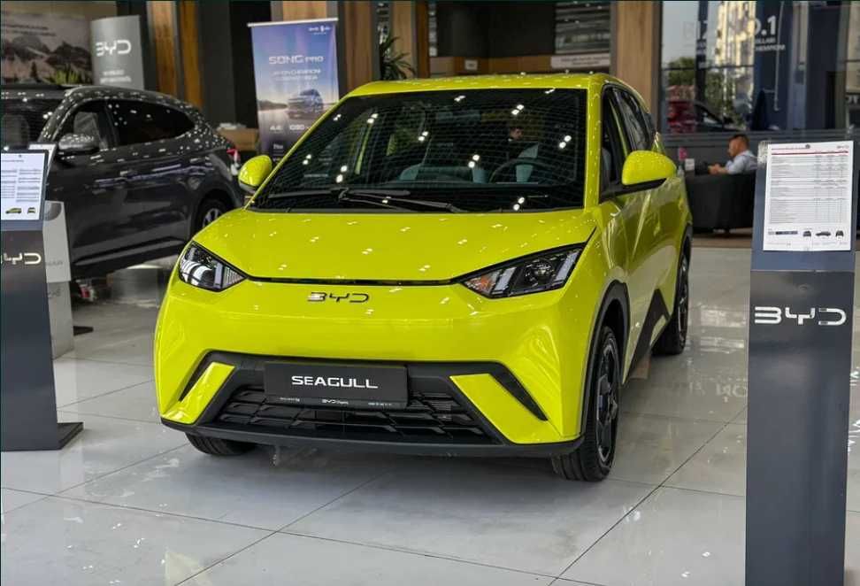 BYD Seagull 2025 eng foydali taklif Kredit yiliga 22%