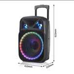 Karaoke HiFi Speaker NDR 15 Bluetooth Kalonka