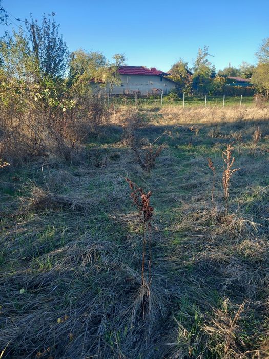 Vând teren intravilan 1600mp Suseni