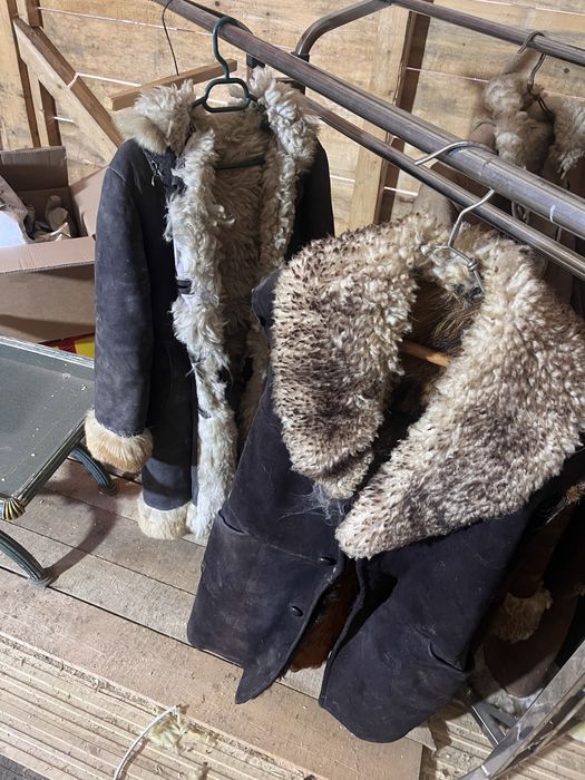 Cojoace blana naturala