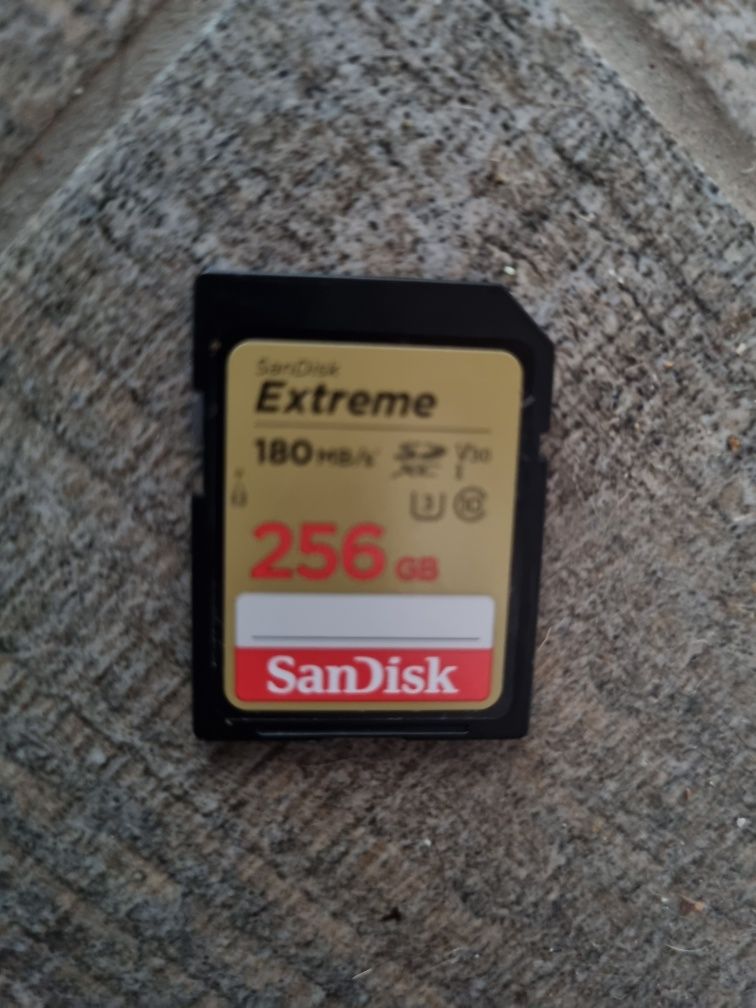 SD Card SanDisk Extreme 180MB/s 256 Gb