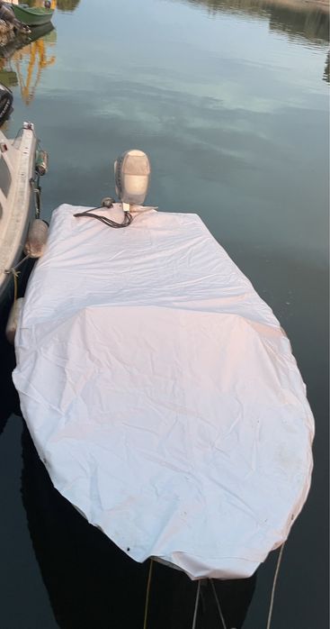 barca cu motor 30cp Honda