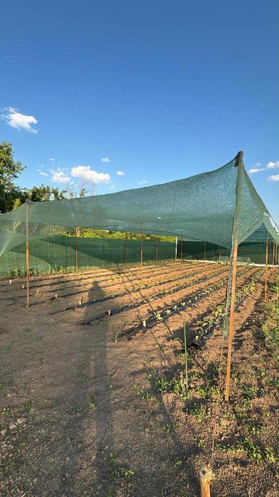 Teren intravilan comuna Gemenele