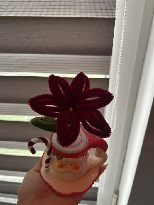 Коледна звезда,  подарък