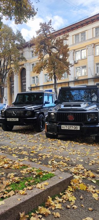 Kartej Xizmati va tuy marosimlari