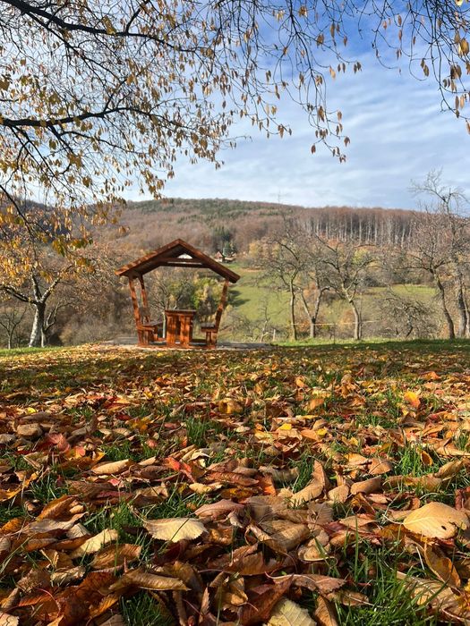 Cabana de închiriat