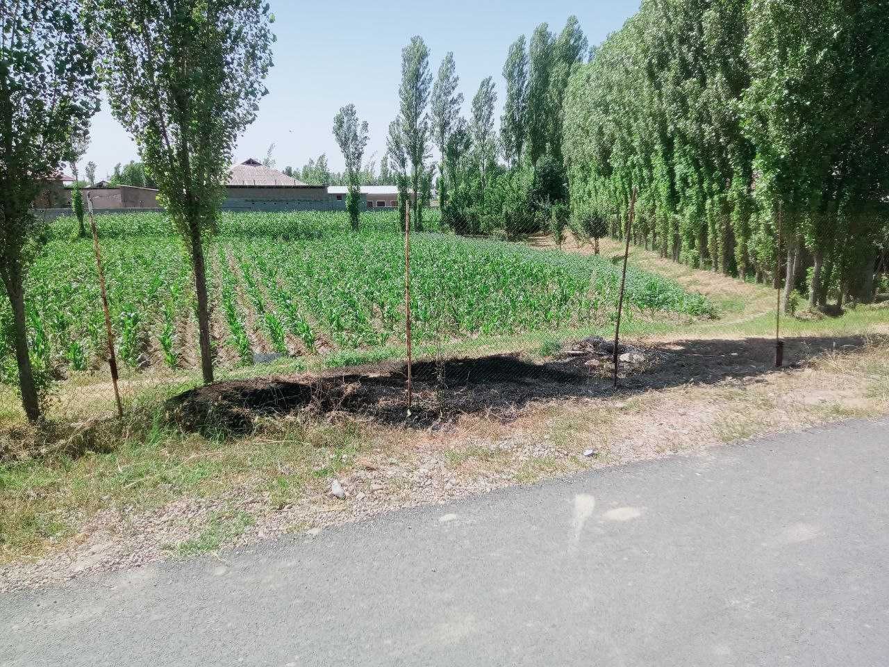 O‘rta Chirchiq tumani, Nurafshon shahri yaqinida 8 sotix yer maydoni