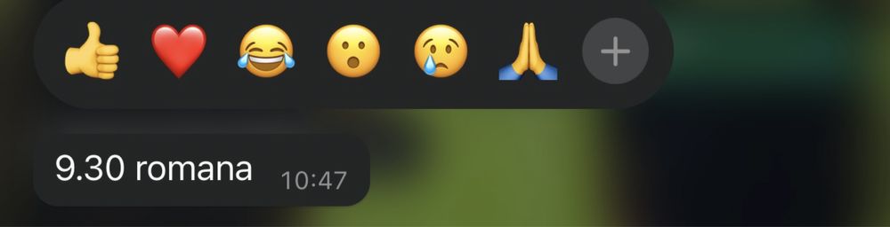 Meditatii limba si literatura romana