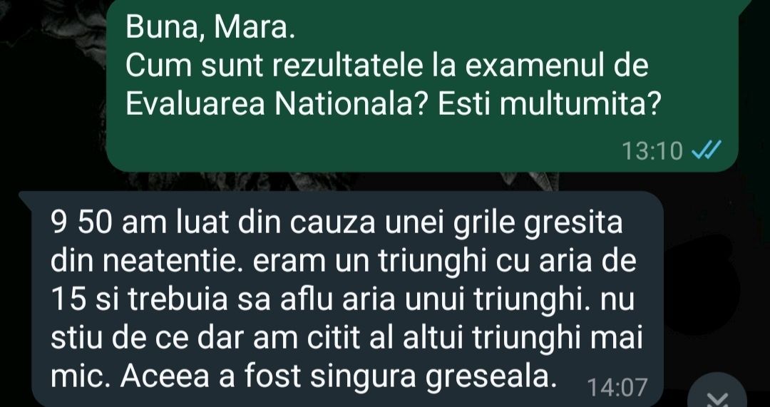Meditatii de 10 Matematica