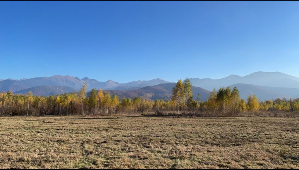 Vând teren - Valea Avrigului