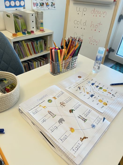 Cursuri si meditatii engleza pentru copii