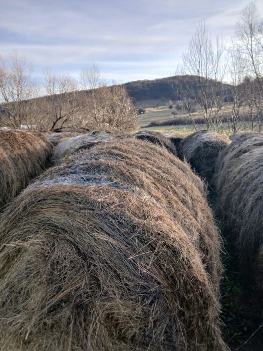 Vând Baloți Fânețe