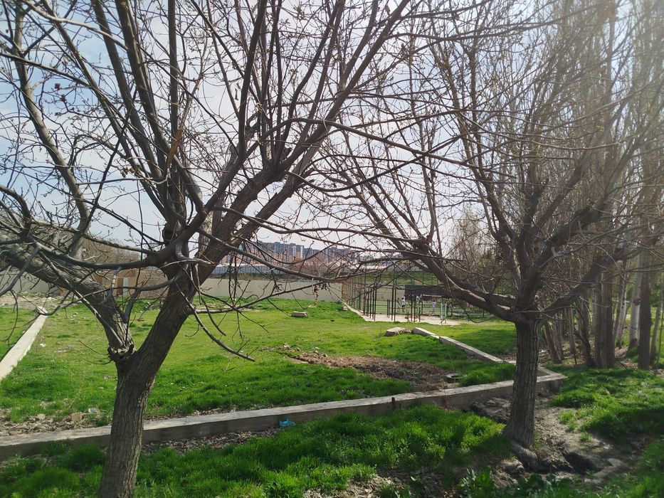 СРОЧНО!!! Участок  2+2 сот. Янгихает тумани (кадастр)