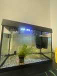 Acvariu Pesti + Filtru + Led