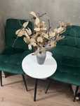 Set de 4 scaune tapitate verzi