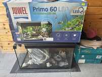 Acvariu pesti cu banda led