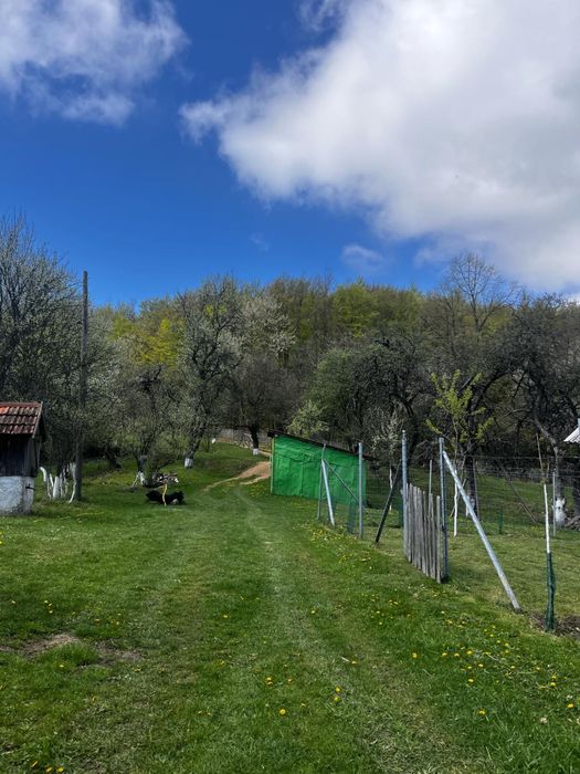 Vând casă cu teren intravilan