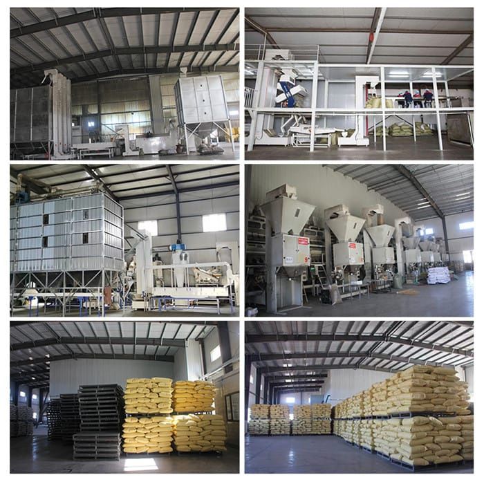 Ulei de dovleac , Ulei din semințe de dovleac