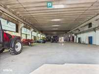Complex industrial cu hale și teren  în Orțișoara