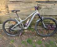 Dartmoor hornet pro
