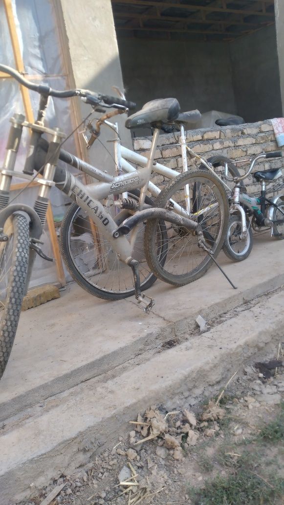 Veloseseped bu .