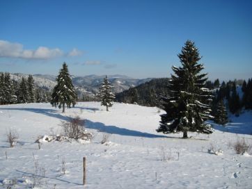 Продава се Къща в к.к. Пампорово - 2317 кв.м за 56 €/кв.м - Снимка #11