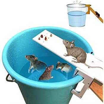 Cursa pentru prindere sobolani in mod continuu! Fara otrava, clei Nou!