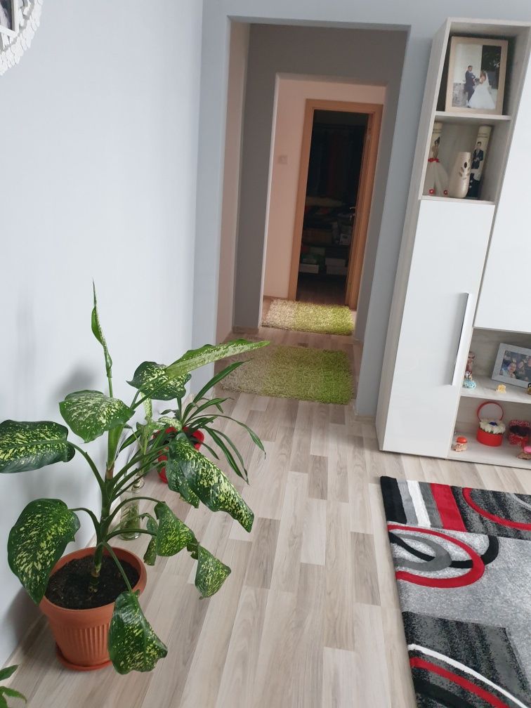 Apartament 3camere