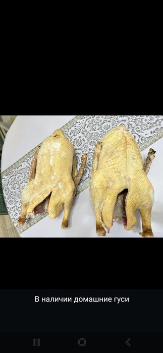 Үйдің қазы сатылады, Домашние гуси