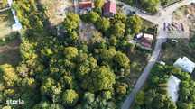 Teren de vanzare , 4834 MP, zona Vladesti