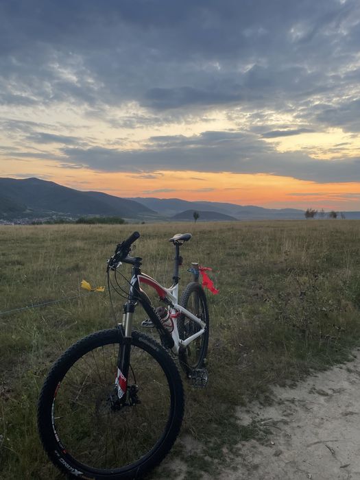 Mtb specialized full suspension