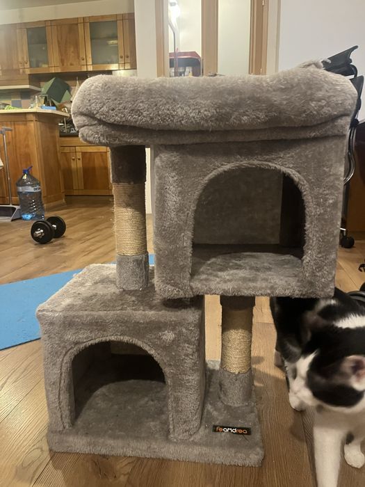 Катерушка за котки