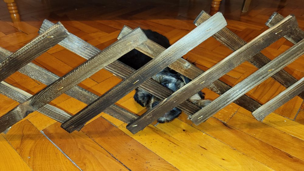 Дървена разтегателна решетка / декоративна преграда — масив, стабилна