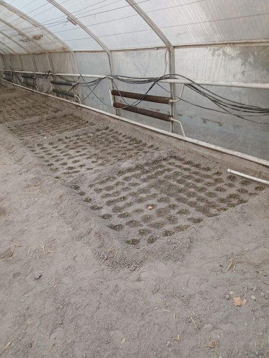 Теплица 8×20 Фаргонада.