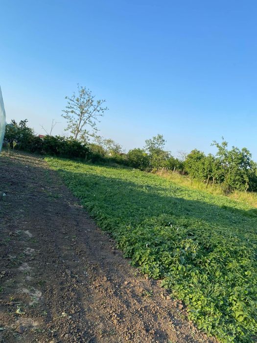 Vând loc de casa fetesti