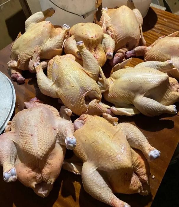 Доставкой Курица Бройлера высшего качества Халяль