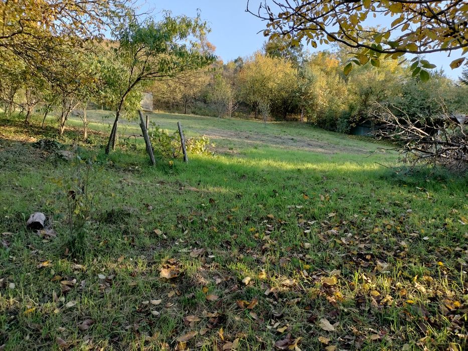 Teren intravilan, gradina!