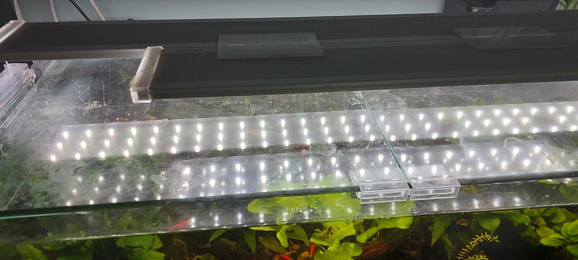 Akvarium sotiladi