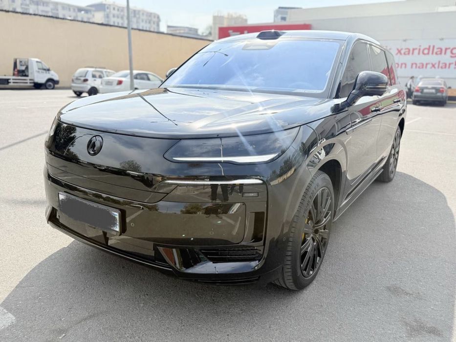 Denza N9 full 2025.04