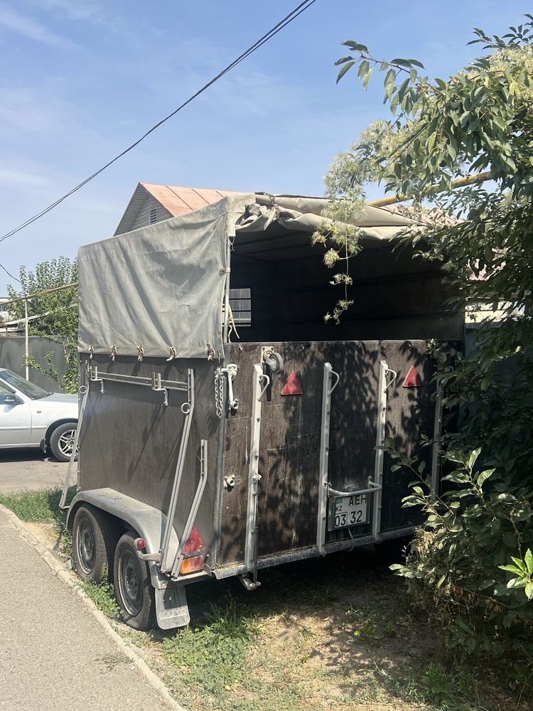 Коневоз прицеп в хорошем состоянии