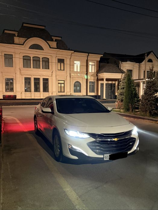 Malibu 2 Preimer 2020